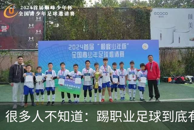 很多人不知道：踢职业足球到底有多难？天赋仅仅只是入场券！